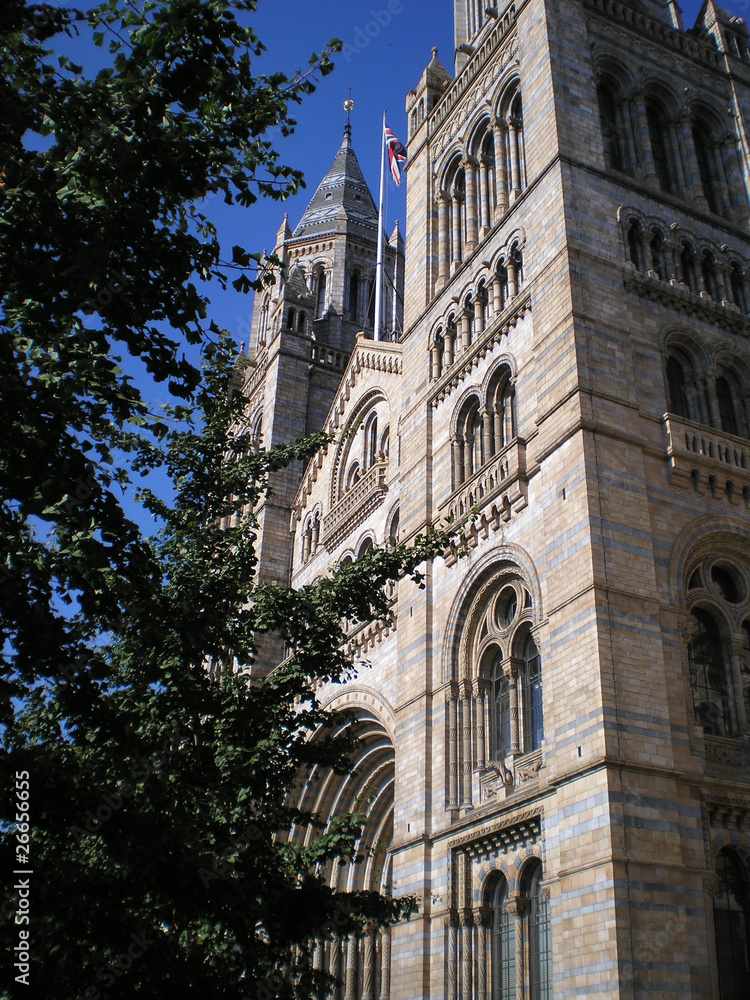 Fototapeta premium natural history museum