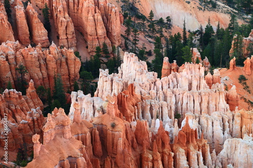 detailed view of Bryce Canyon bright red ground