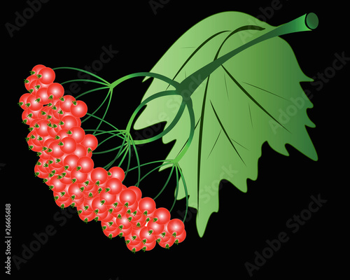 Plakat w ramie Viburnum