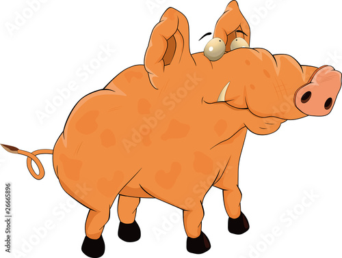 Pig