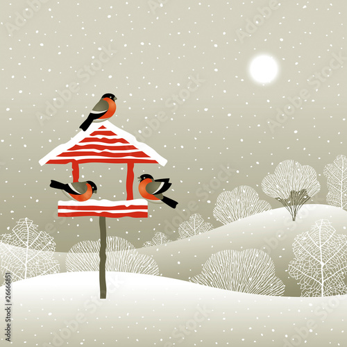 Birdfeeder in winter forest