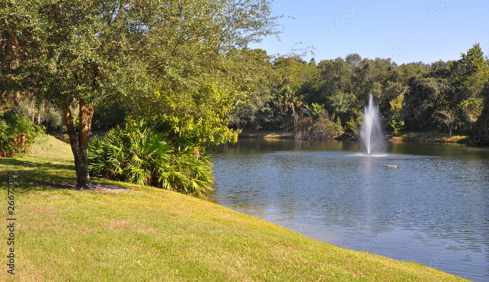 Obraz premium Panoramic view of a lake and a forest