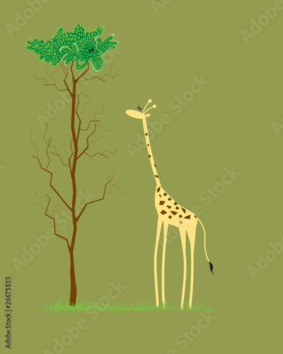 giraffe raspberry