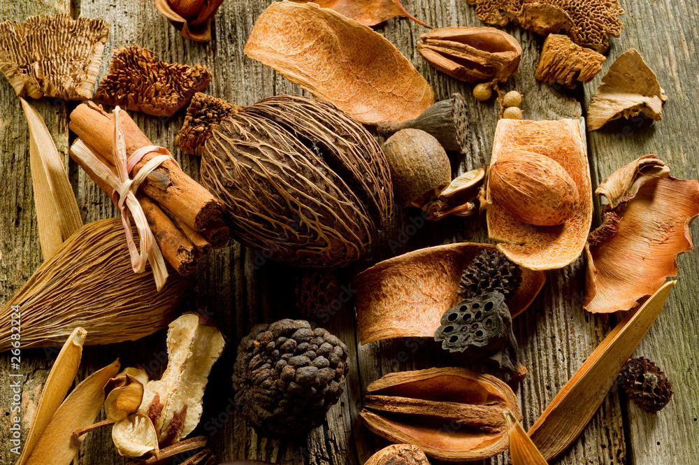 A Potpourri Family, Cats, the Chiefs Wide Receiver Story, and the NCAA