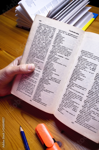 Canvastavla Woman is reading Spanish - English dictionary