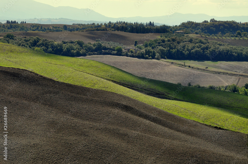 Typical Tuscan Landscape