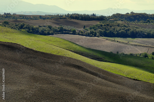 Typical Tuscan Landscape
