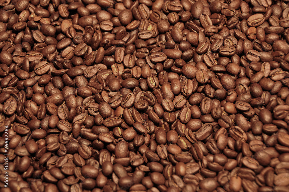 Field of Coffee Field of Coffee