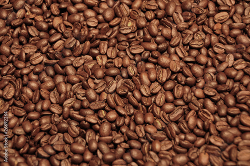 Field of Coffee