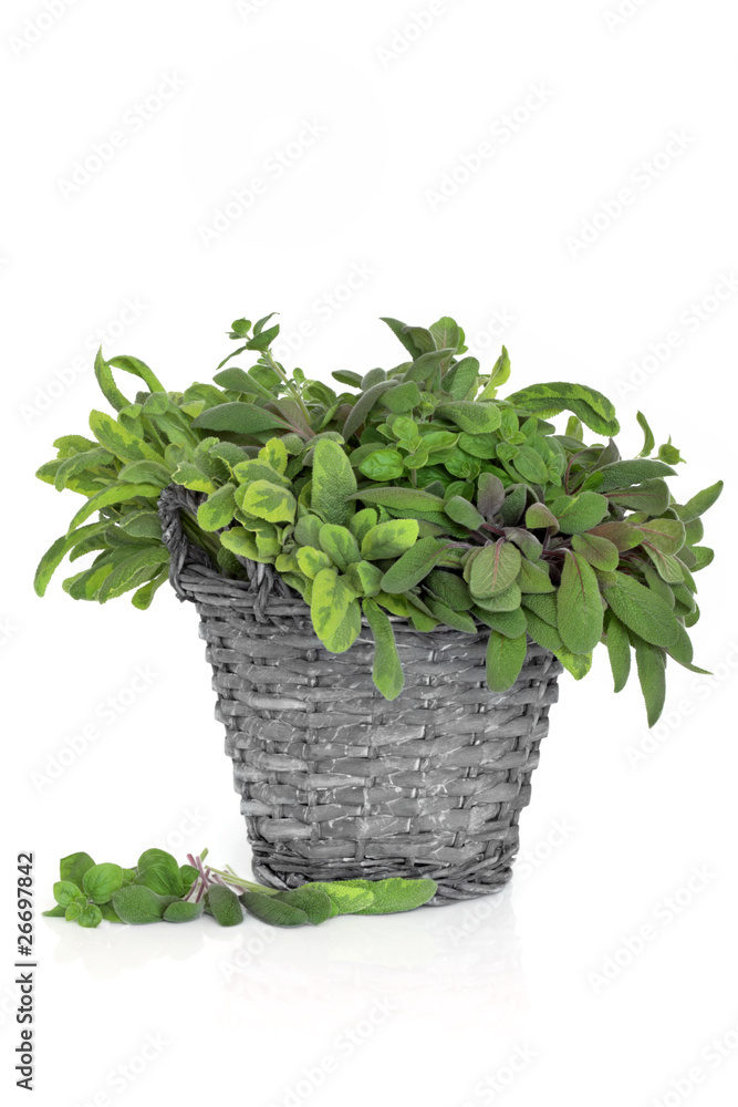 Sage and Oregano Herb Leaves Sage and Oregano Herb Leaves