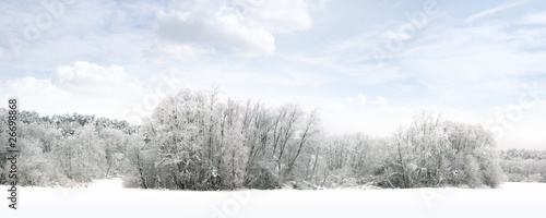 A winter forest panorama with sky, trees and snow