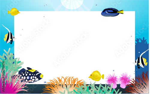 sea life