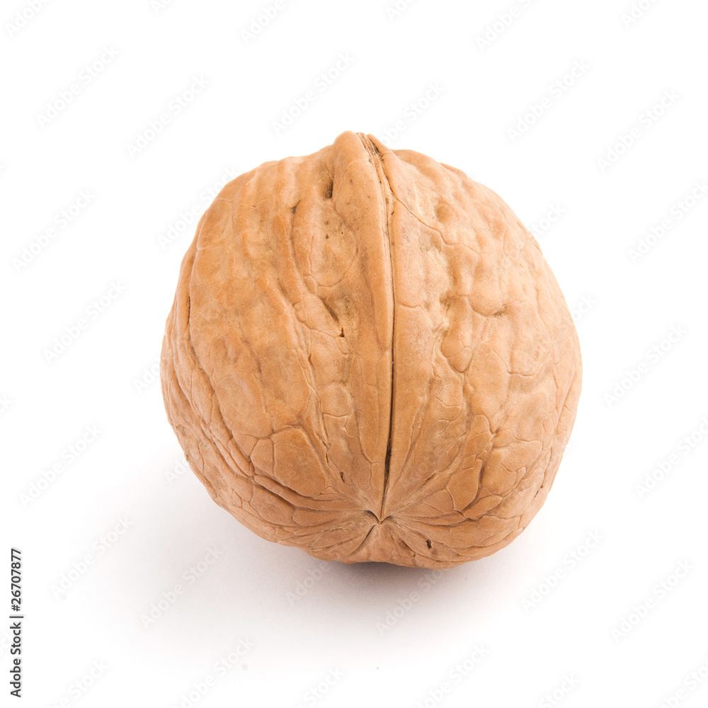 Walnut isolated on white background Walnut isolated on white background