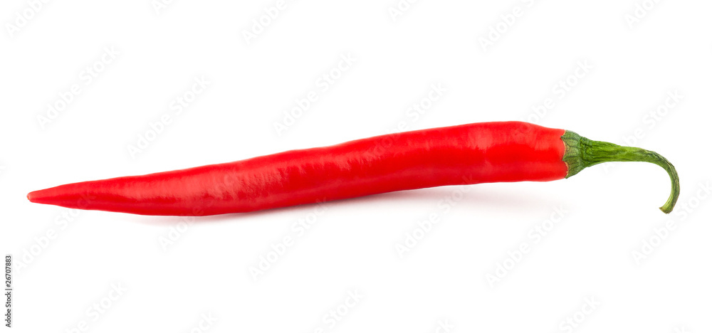 Chili pepper isolated on white background