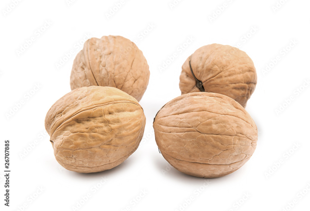 Circassian walnut isolated on the white background Circassian walnut isolated on the white background