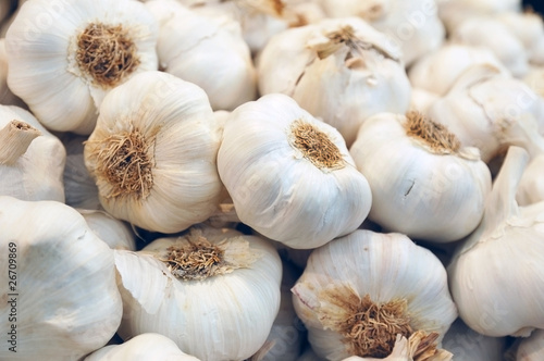 close up of garlic photo