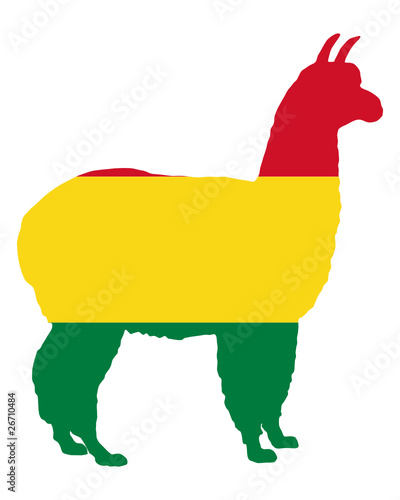 Bolivianisches Alpaka
