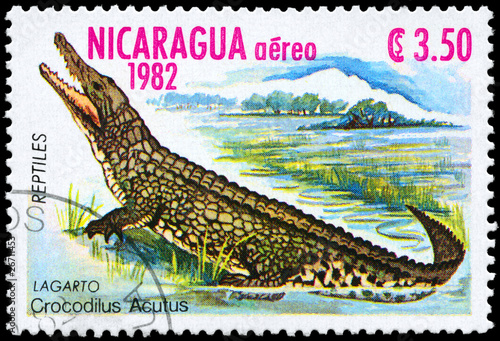 NICARAGUA - CIRCA 1982 Crocodile photo