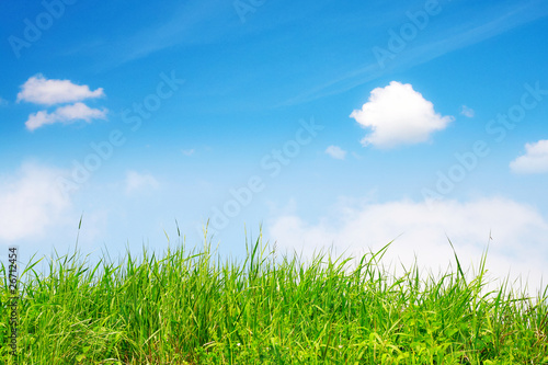 Springtime, green grass and sky