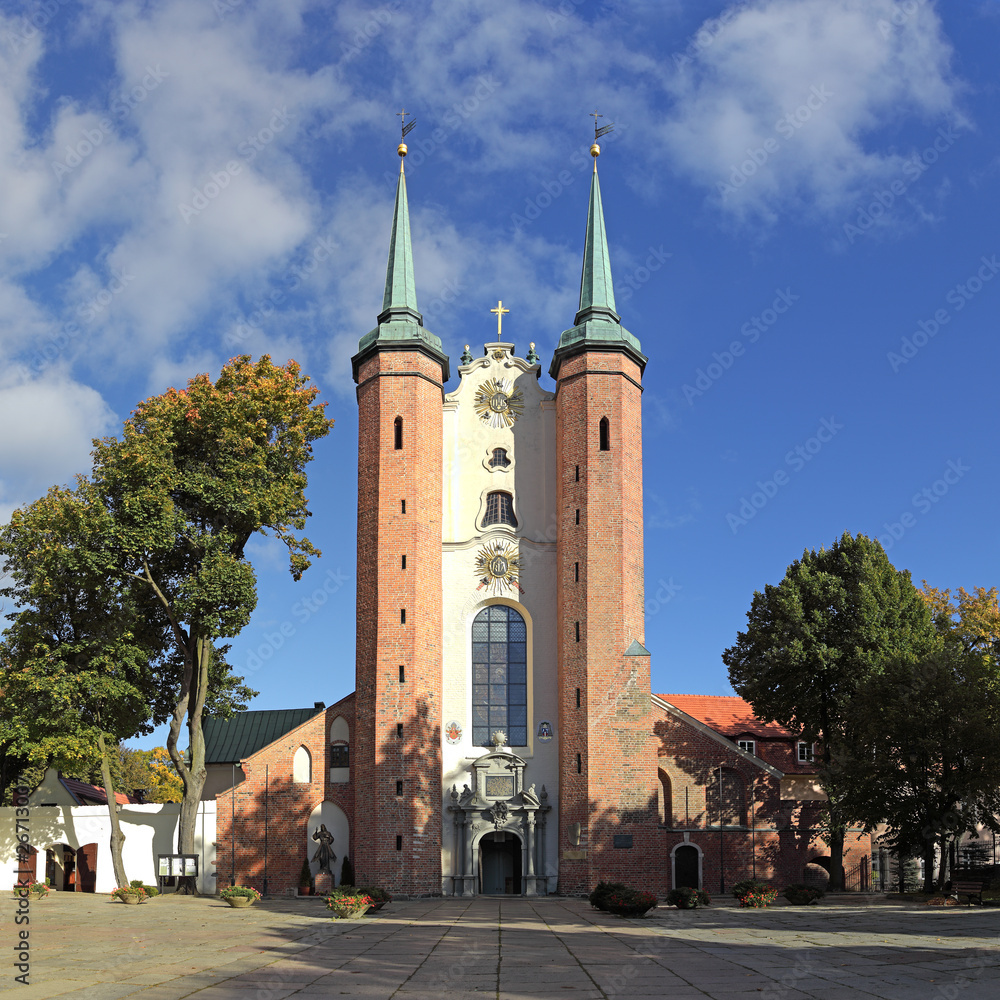 Fototapeta premium Cathedral in Oliwa