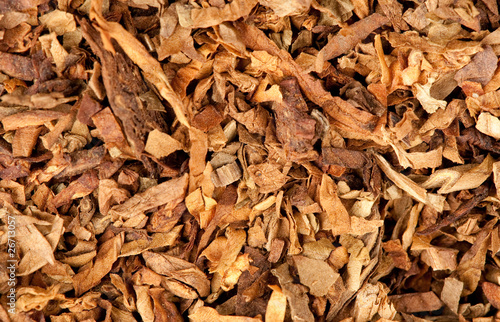 Cut dried leaves of tobacco