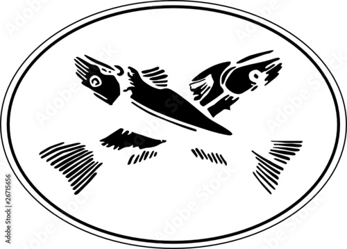 fishes vector