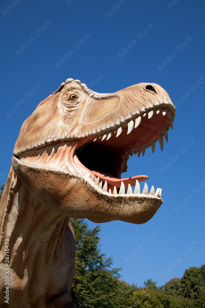 Fototapeta premium Aggressive T-Rex
