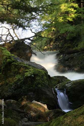 RIO DEL GIEESBACH