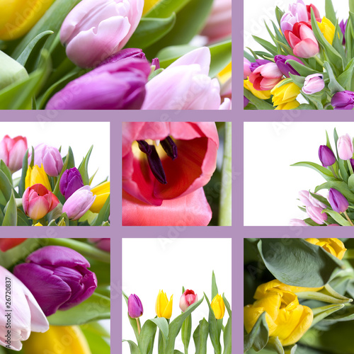 Fototapeta Naklejka Na Ścianę i Meble -  Tulips collage
