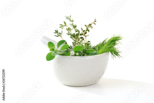 Fresh Dill, Oregano and Thyme in a mortar and pestle