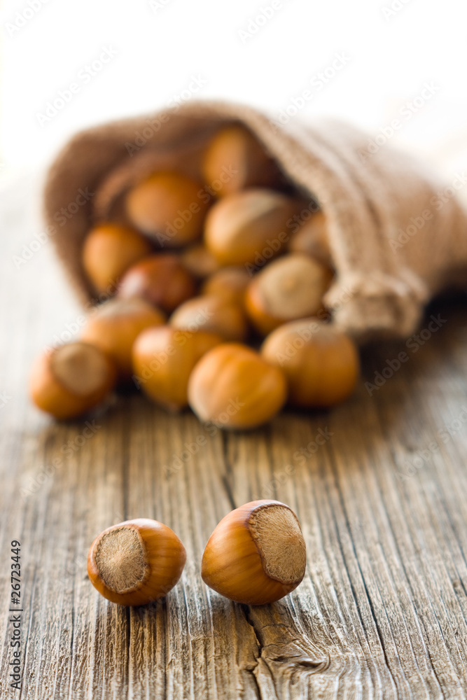 Obraz premium Hazelnuts