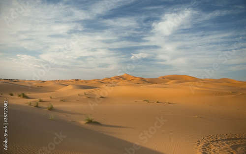 In der W  ste  Marokko  Sahara