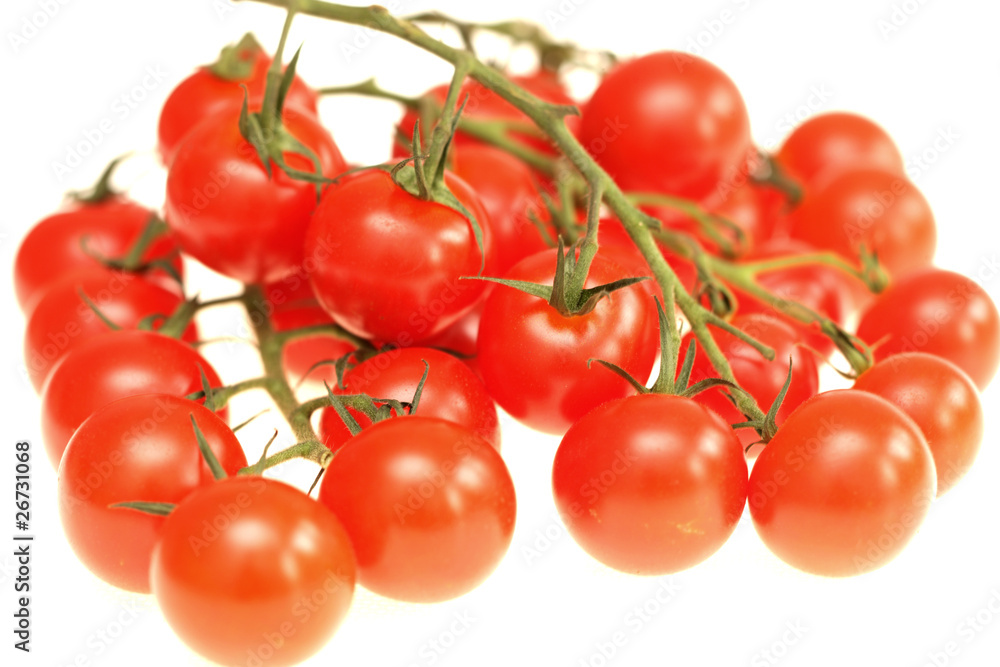 Vine Grown Cherry Tomatoes