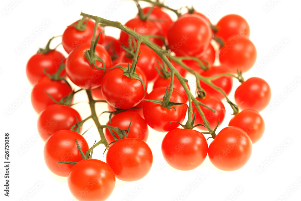 Vine Grown Cherry Tomatoes Vine Grown Cherry Tomatoes