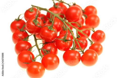 Vine Grown Cherry Tomatoes