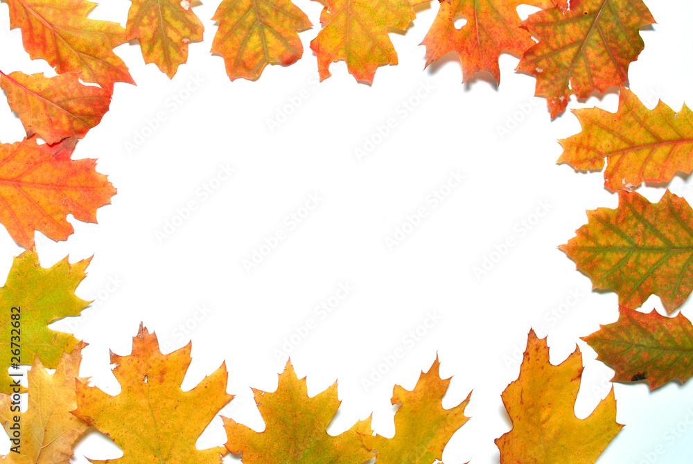 Autumn frame Autumn frame
