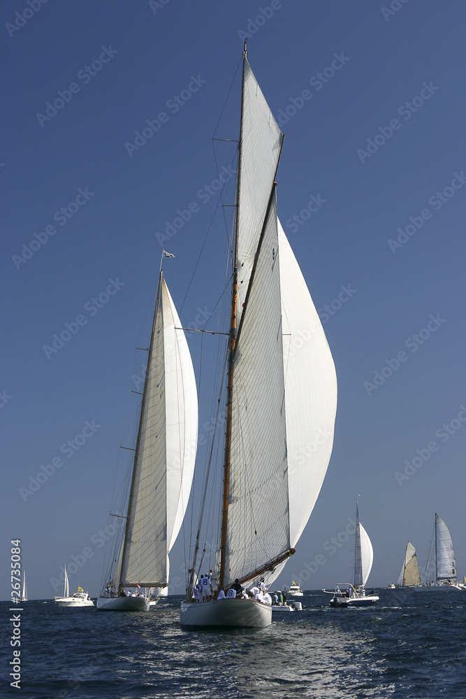 Fototapeta premium Voiles de Saint-Tropez