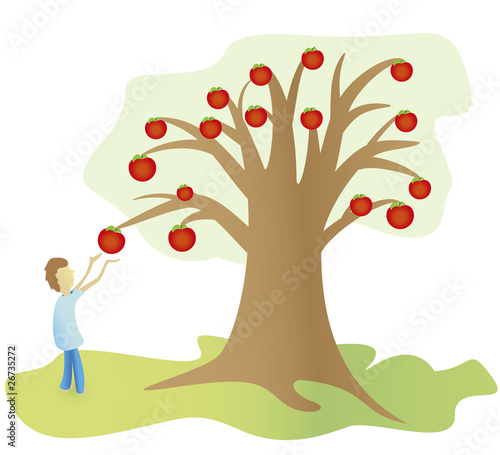 child breaks an apple