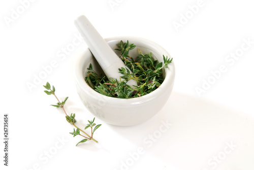 Fresh Thyme Herbs