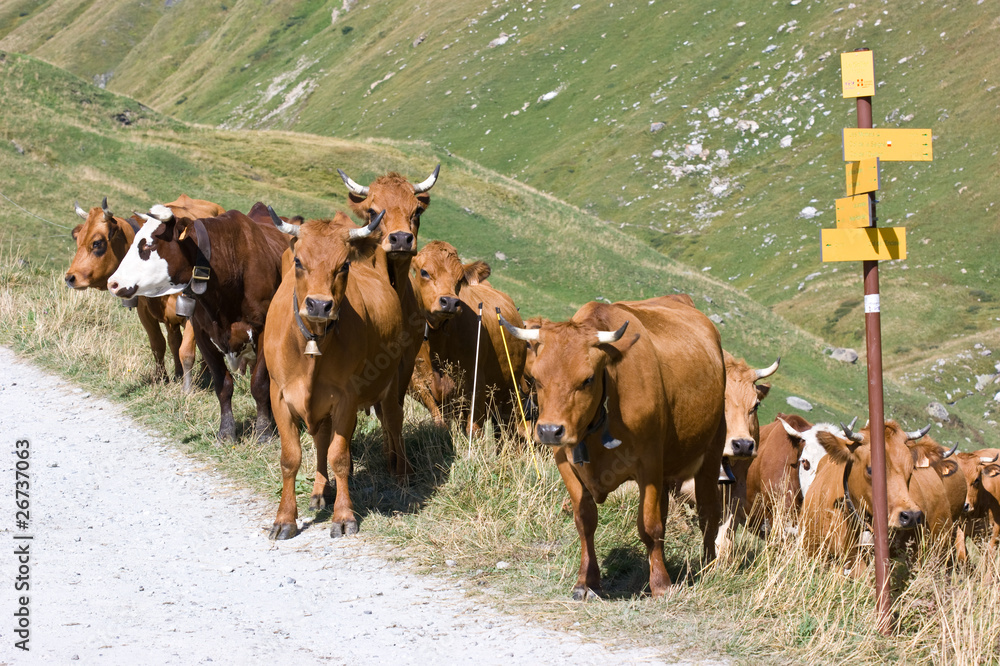 Irrungen & Wirrungen
