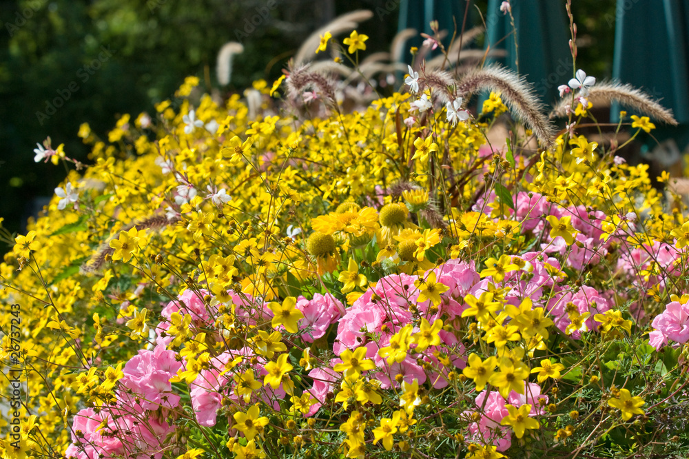 Blumenkasten
