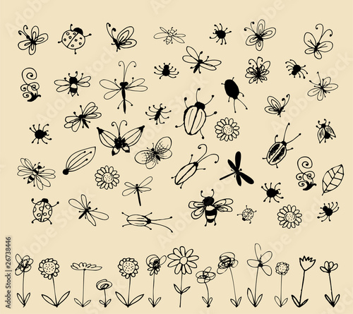 Insect sketch collection for your design