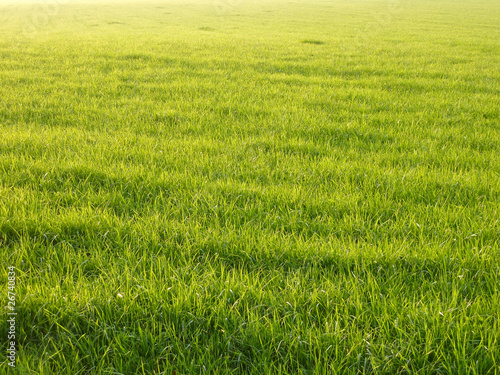 Wallpaper Mural W2 Torontodigital.ca