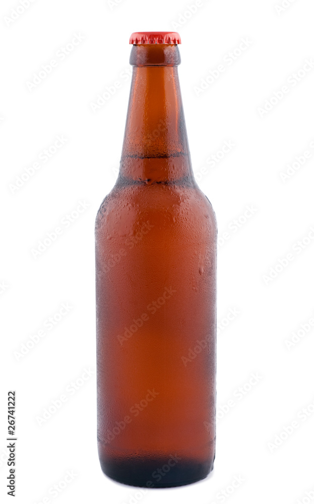 Beer in bottle  isolated on white background.
