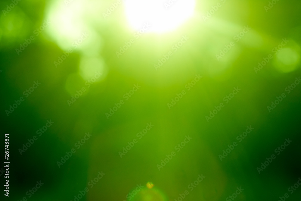 Fototapeta premium Abstract green forest defocused with sunbeam