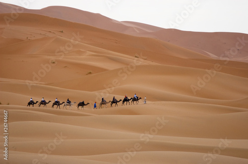 Kamelsafari in der Sahara