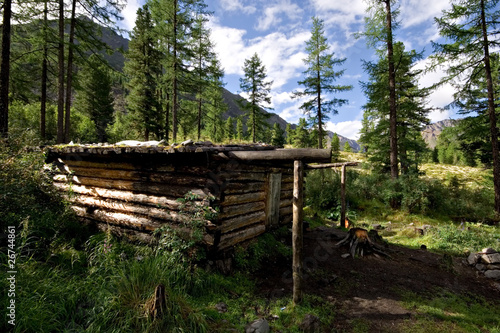 Wood shack  winter hut  in wild forest. Taiga  Siberia  Sayan.