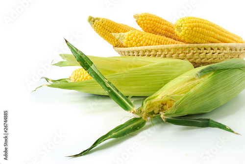 Slika na platnu Fresh corncobs