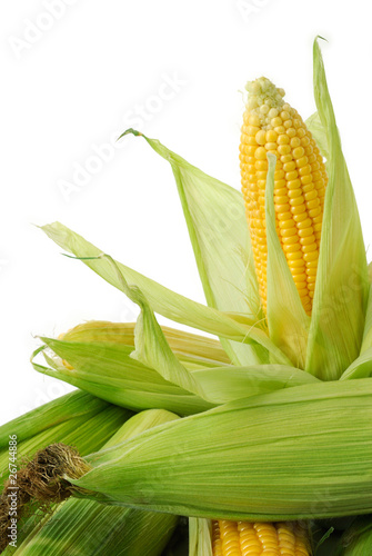 Εκτύπωση καμβά Corn on cob
