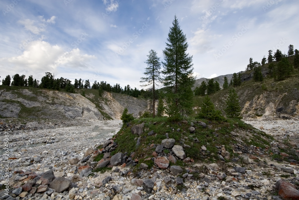 Trees and stones in valley of mounain river. Sayan, Siberia. Trees and stones in valley of mounain river. Sayan, Siberia.